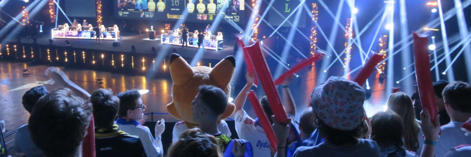 LDLC OL 🦊's banner