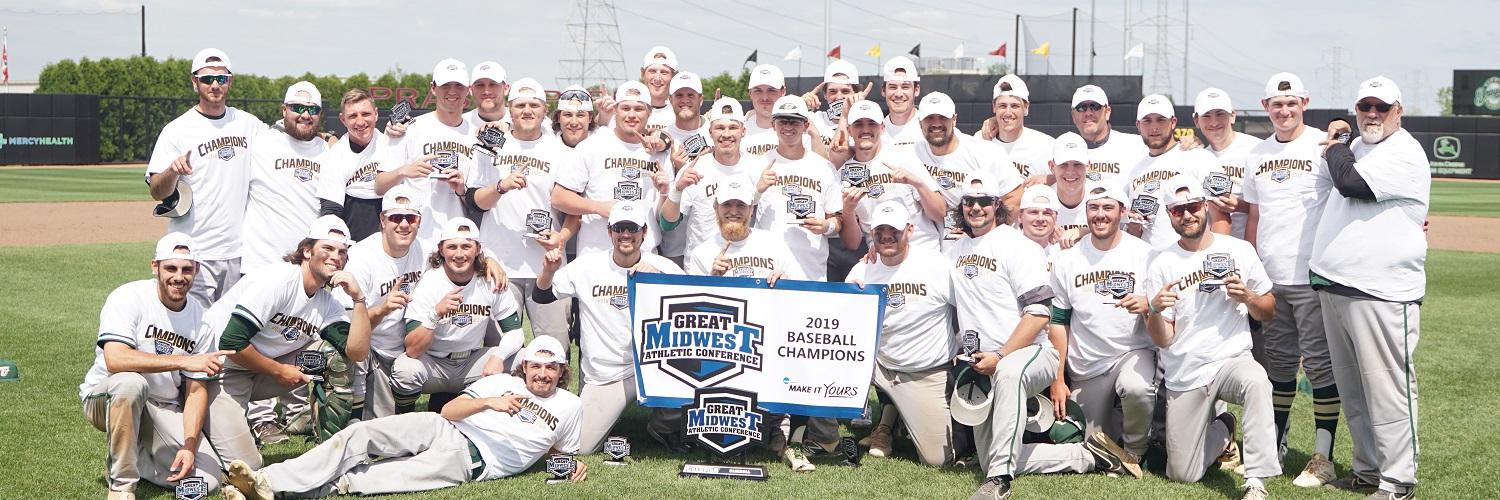 Tiffin University Baseball's banner