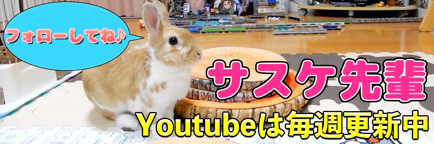 たれみみうさぎ木の葉まる's banner