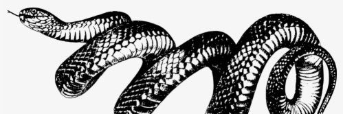 The old M can’t come to the phone right now's banner