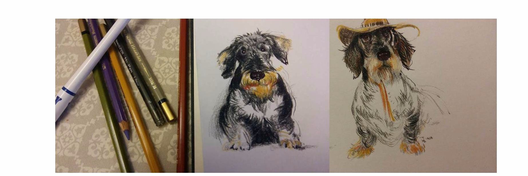 ThreeHappyDachshunds's banner