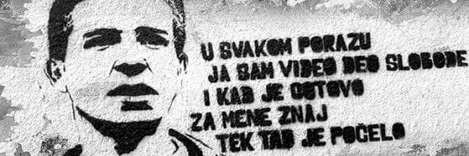 Nataša 🐦's banner