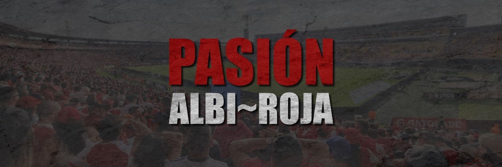 Pasión Albi Roja |🇮🇩's banner