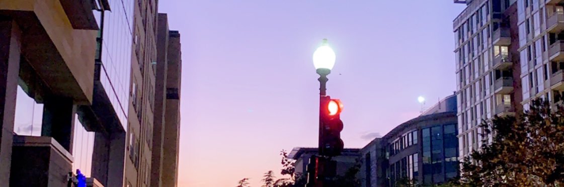 lis's banner