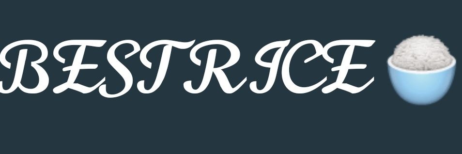 BEST RICE's banner