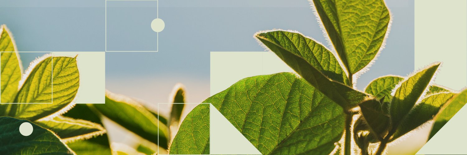 Syngenta Argentina's banner