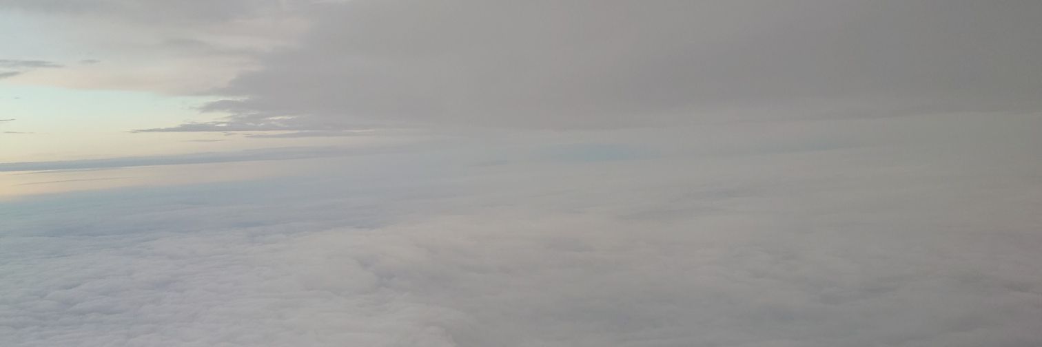 井ノ文 松岳(INOFUMI Shōgaku)'s banner