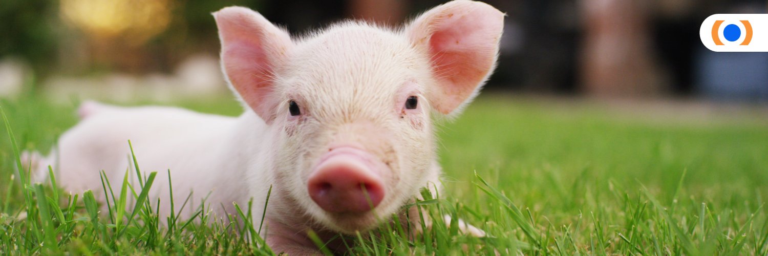 Mercy For Animals's banner