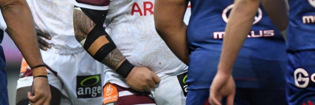 🏉🐻's banner