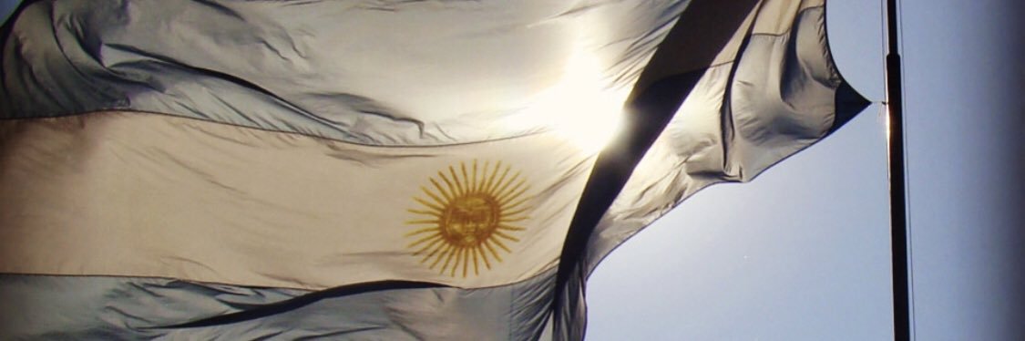 Luciana Flores's banner