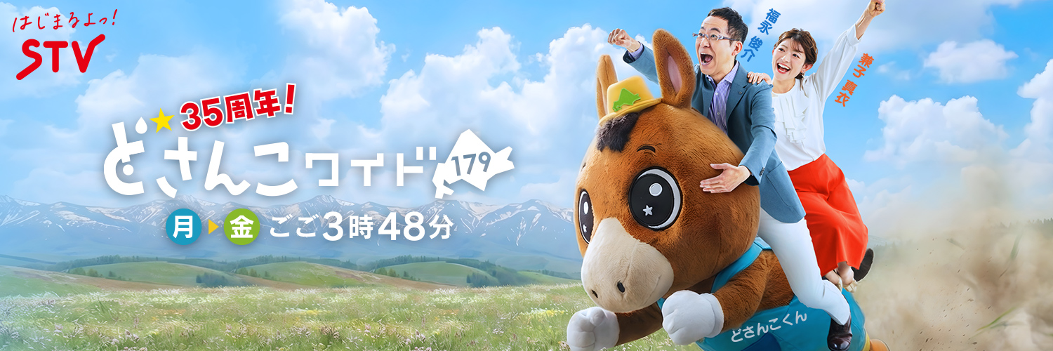 どさんこワイド１７９'s banner