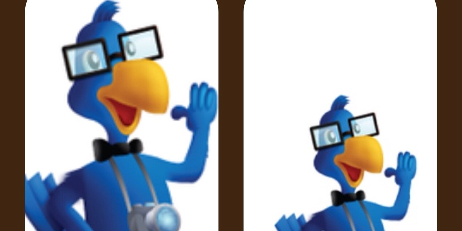 Babakuş's banner
