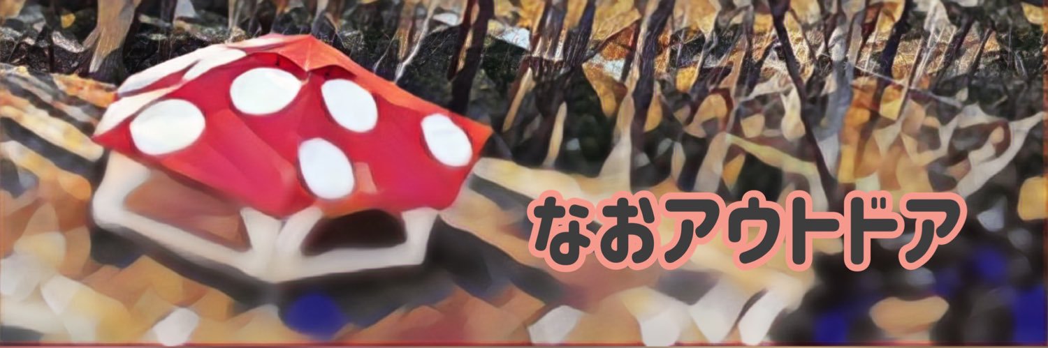 なおアウトドア🇯🇵🇺🇦's banner