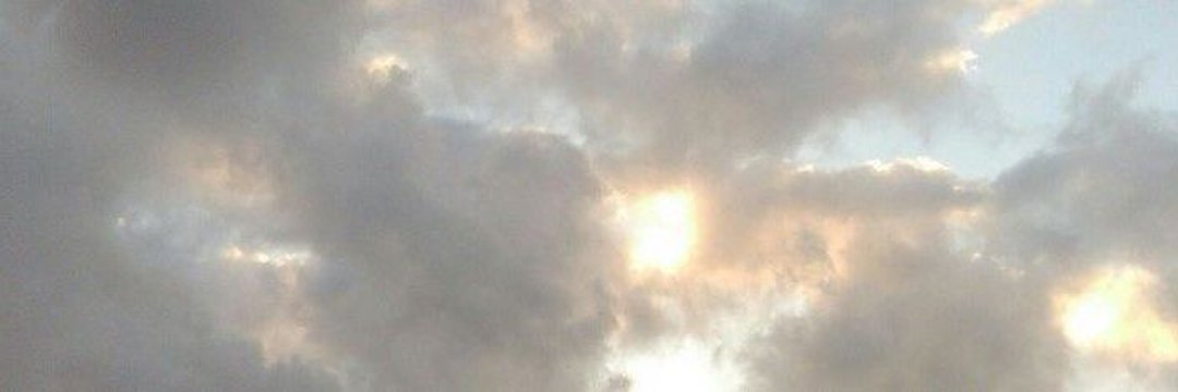 wolfie's banner