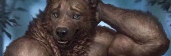LUKKA$🐺's banner