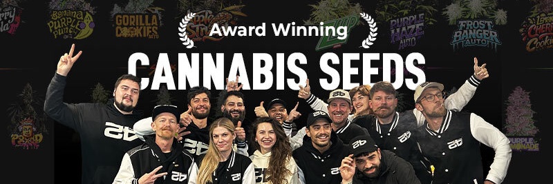 Fast Buds's banner