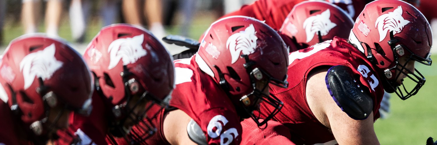 Bates Football's banner