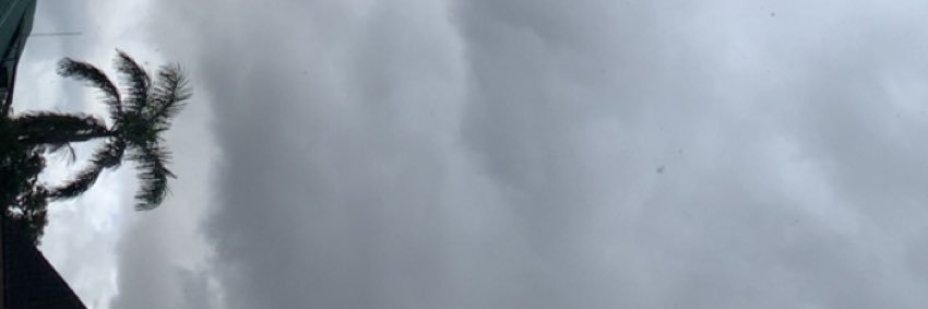 Kizz Savage 🦡's banner