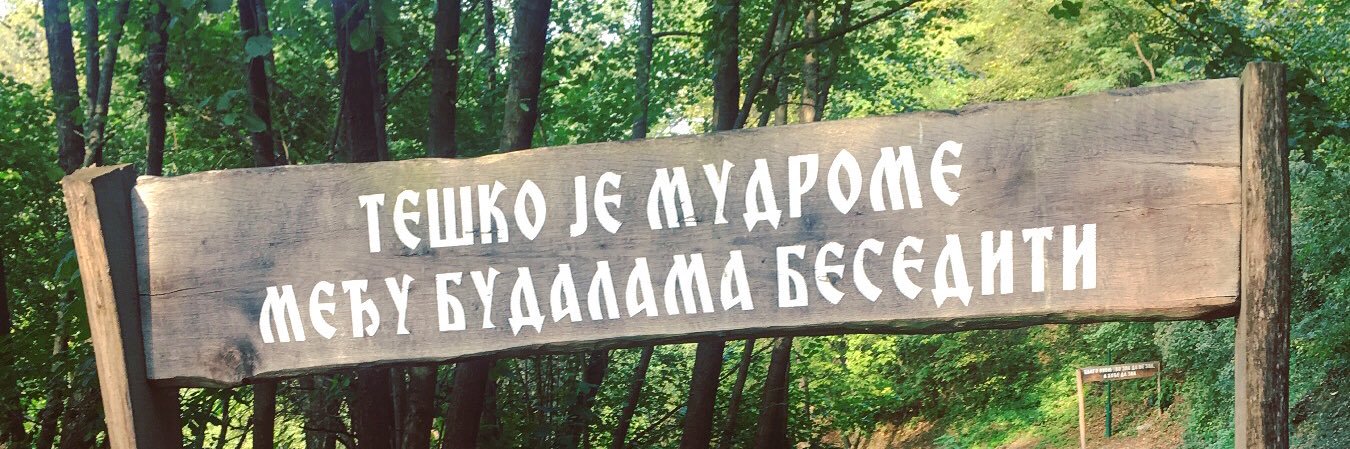 IzVesna's banner