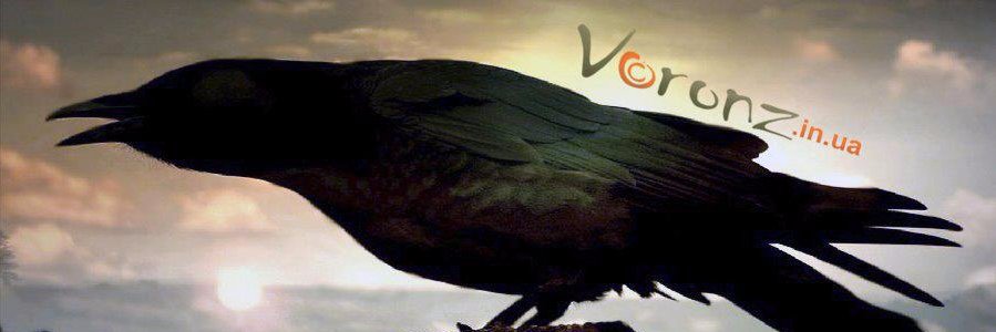 Voronz's banner