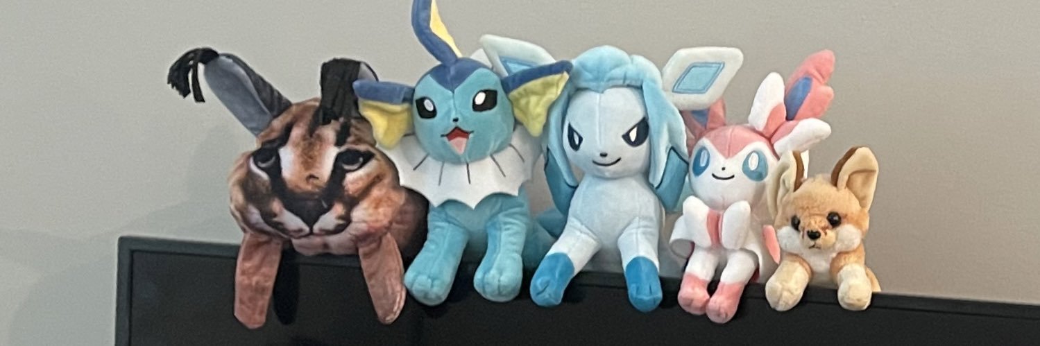 Paper's banner