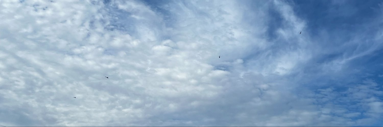 groovyyzo's banner