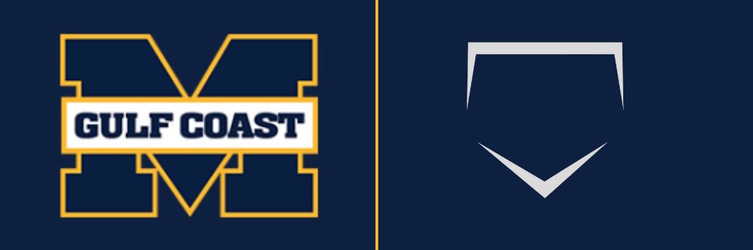 MGCCC Baseball's banner
