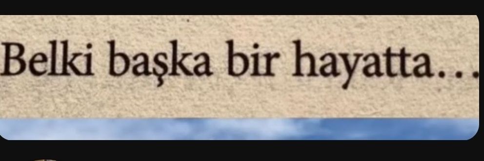 Fedayi AKTAŞ's banner