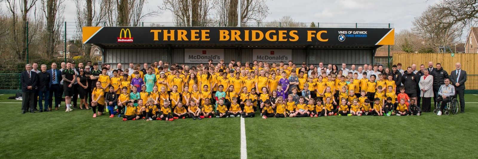 Three Bridges FC (C) 🏆🏆🏆🏆🏆's banner