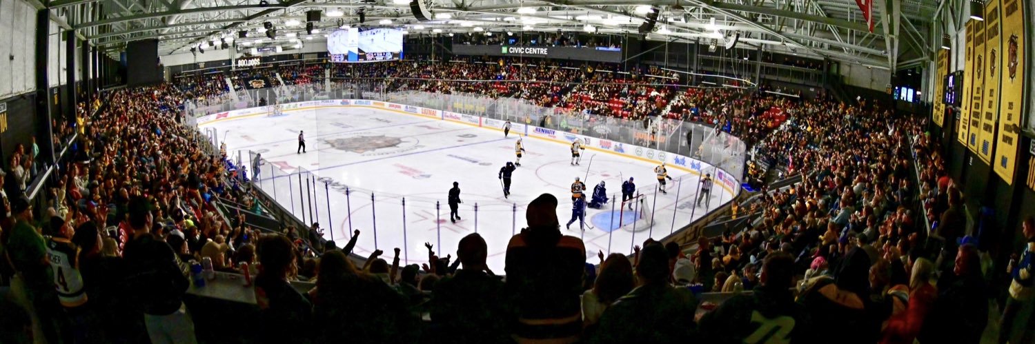 Brantford Bulldogs's banner