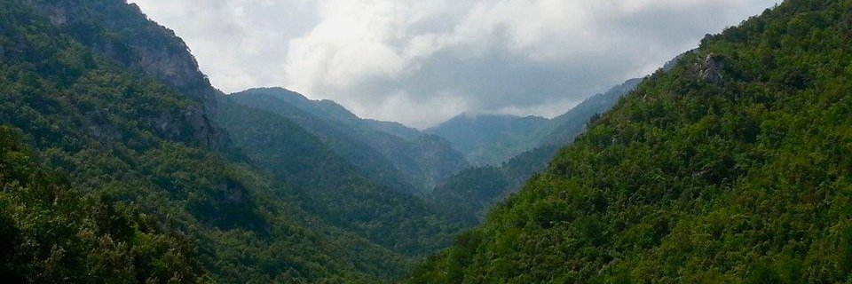Ilija's banner