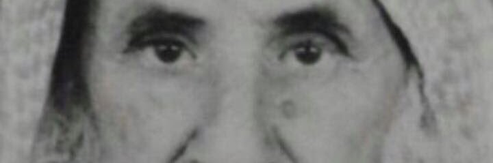 ملوح هادي آل دحباش's banner