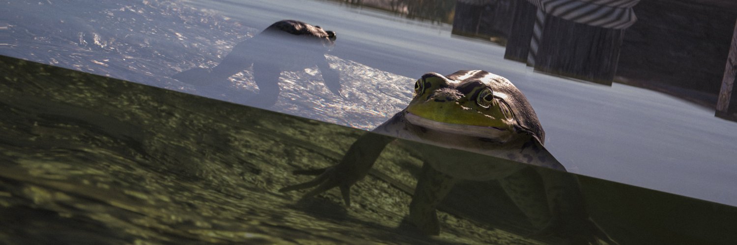 Errn 🐸🍄's banner