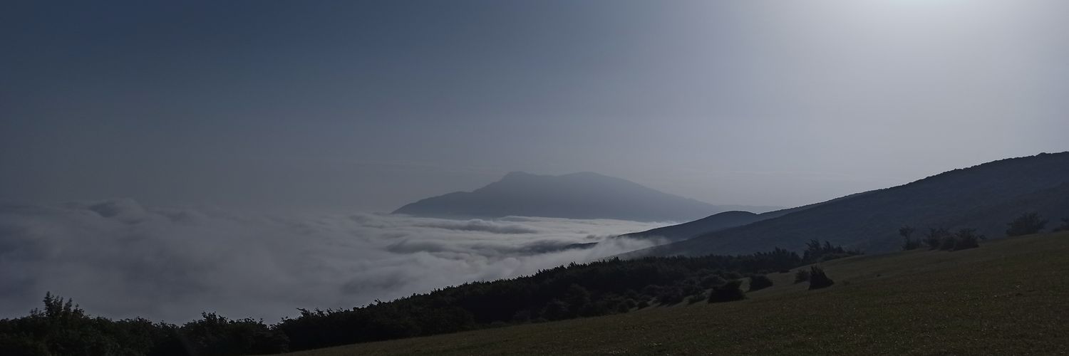 Mareza Jelveh's banner