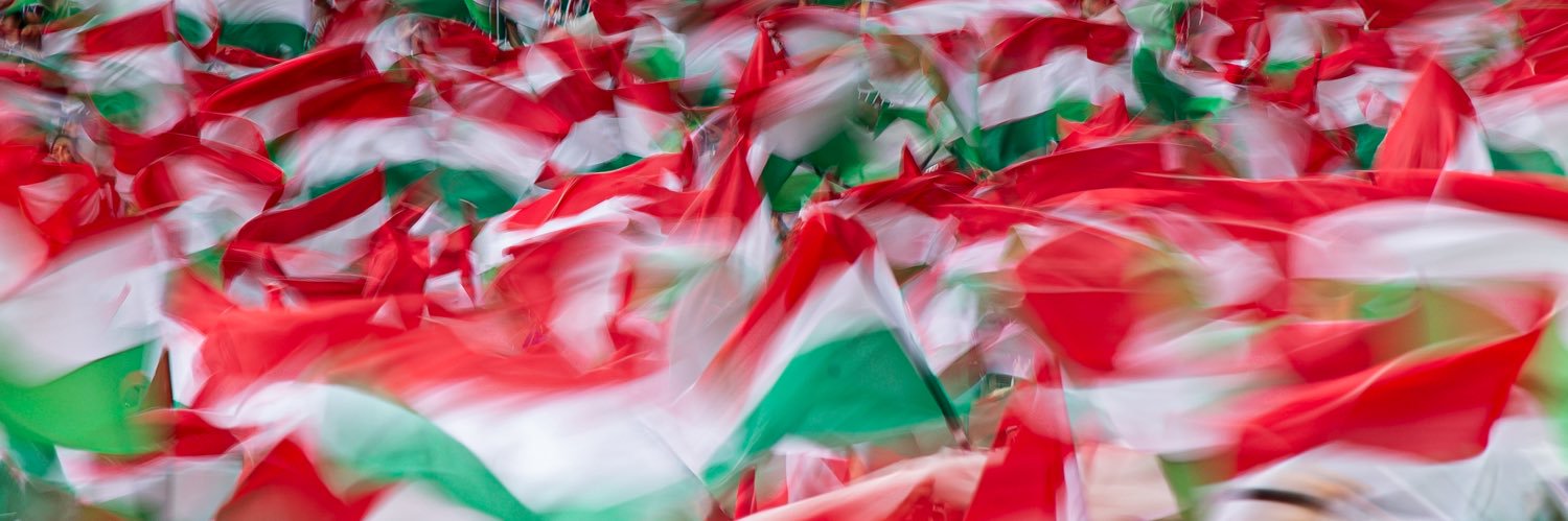 Fluminense F.C.'s banner