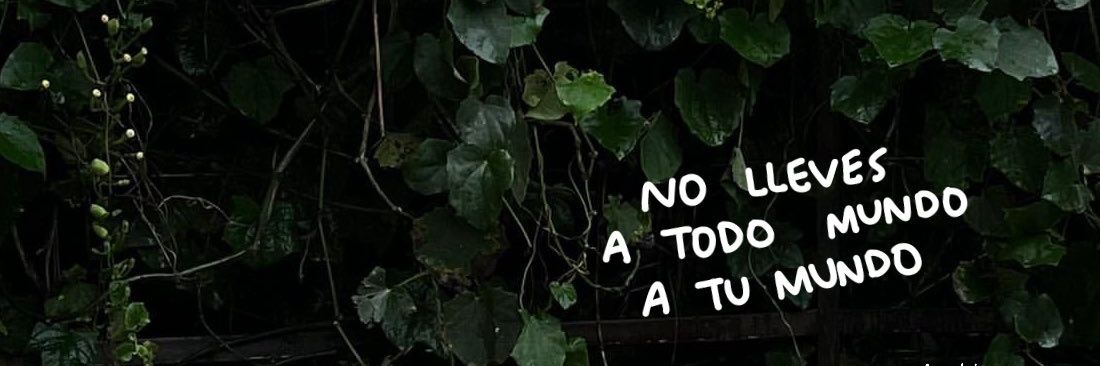 🐼's banner