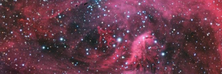 Palina Rojinski's banner