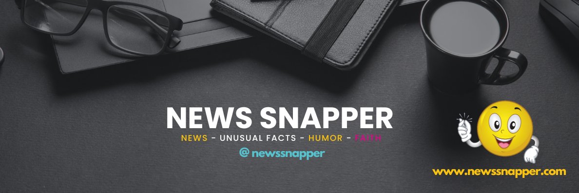 News Snapper's banner
