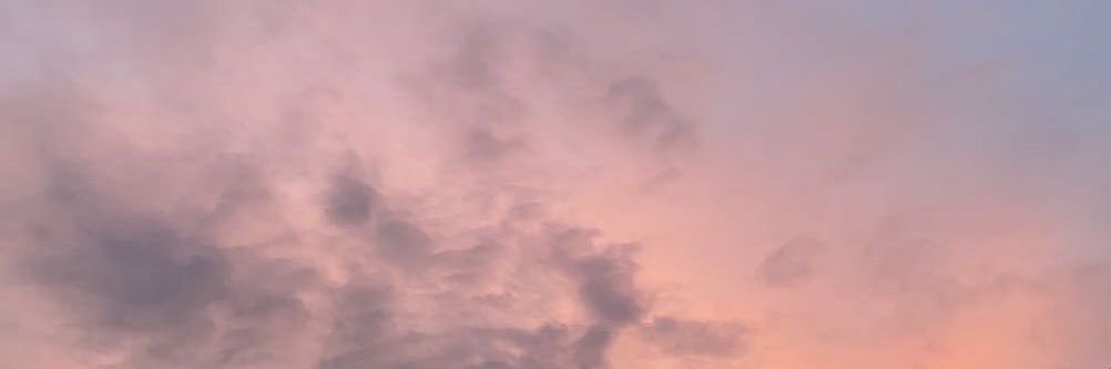 ʎǝlɐ's banner