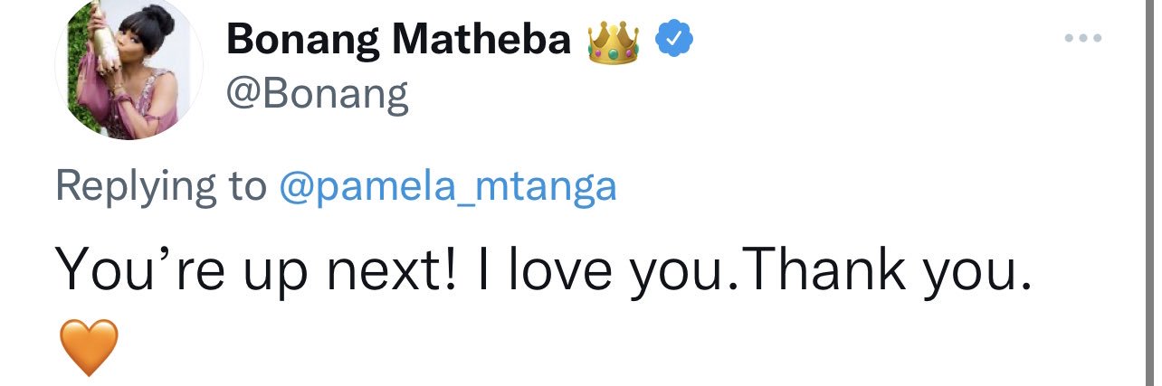 Pamela Mtanga's banner