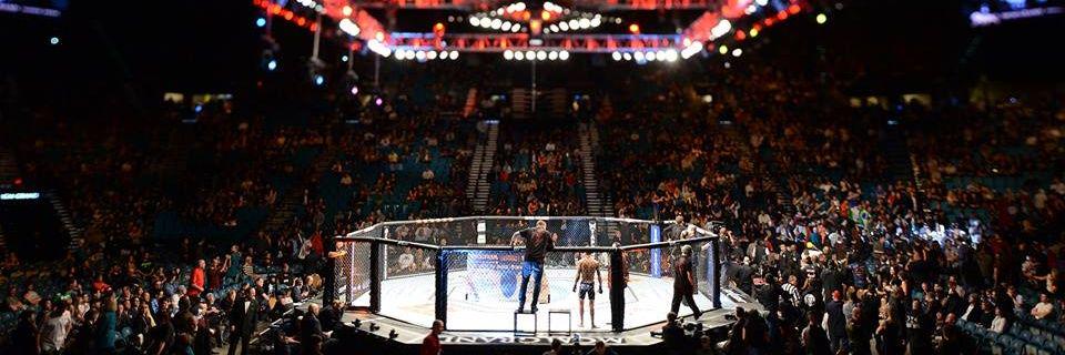 MMA.PL's banner