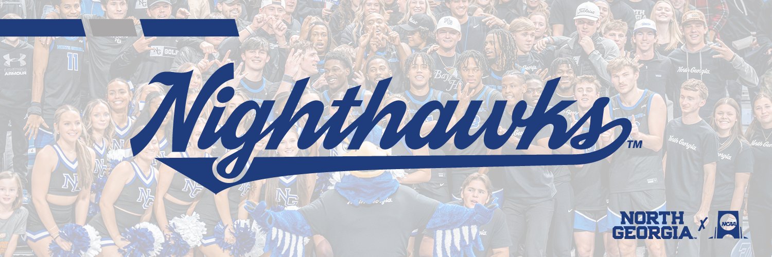 UNG Men's Basketball's banner