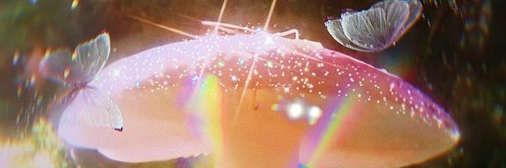 ONLY 1 HOES MAD 😘🤭's banner