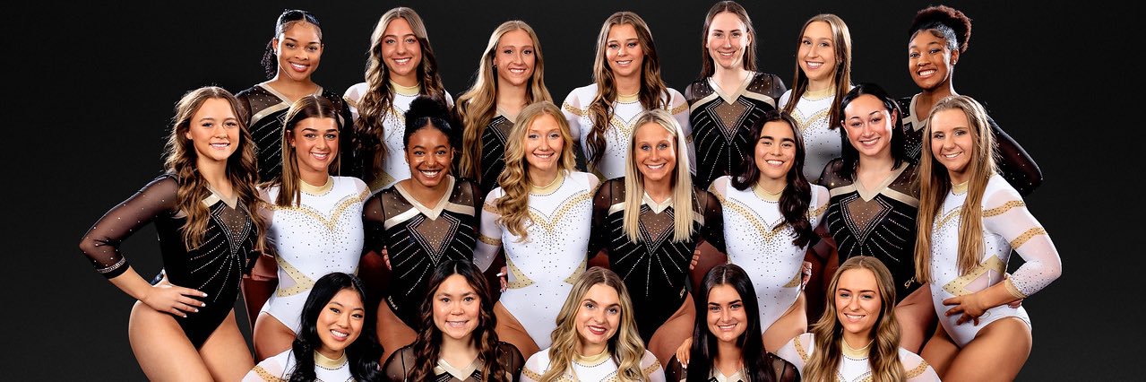Lindenwood Gymnastics's banner