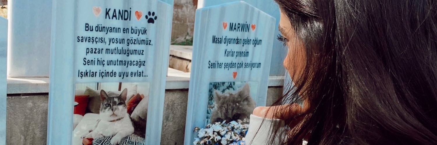 Hatice Dertsiz Kandemir's banner