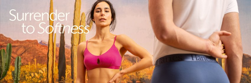 Hanes's banner
