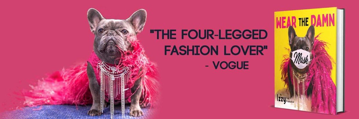 Izzy the Frenchie's banner