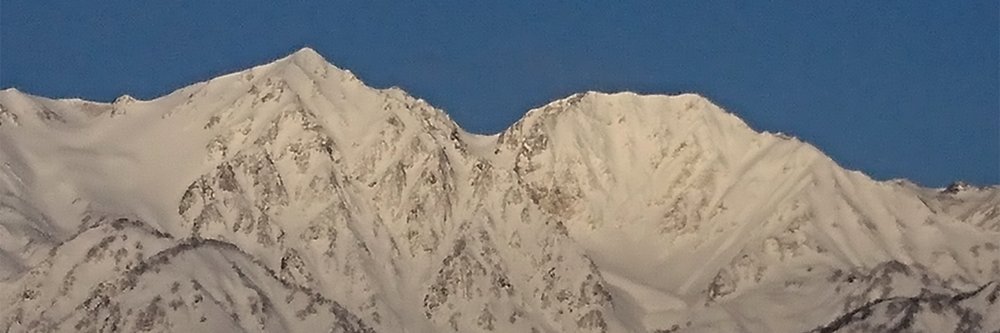 日本雪崩ネットワーク's banner