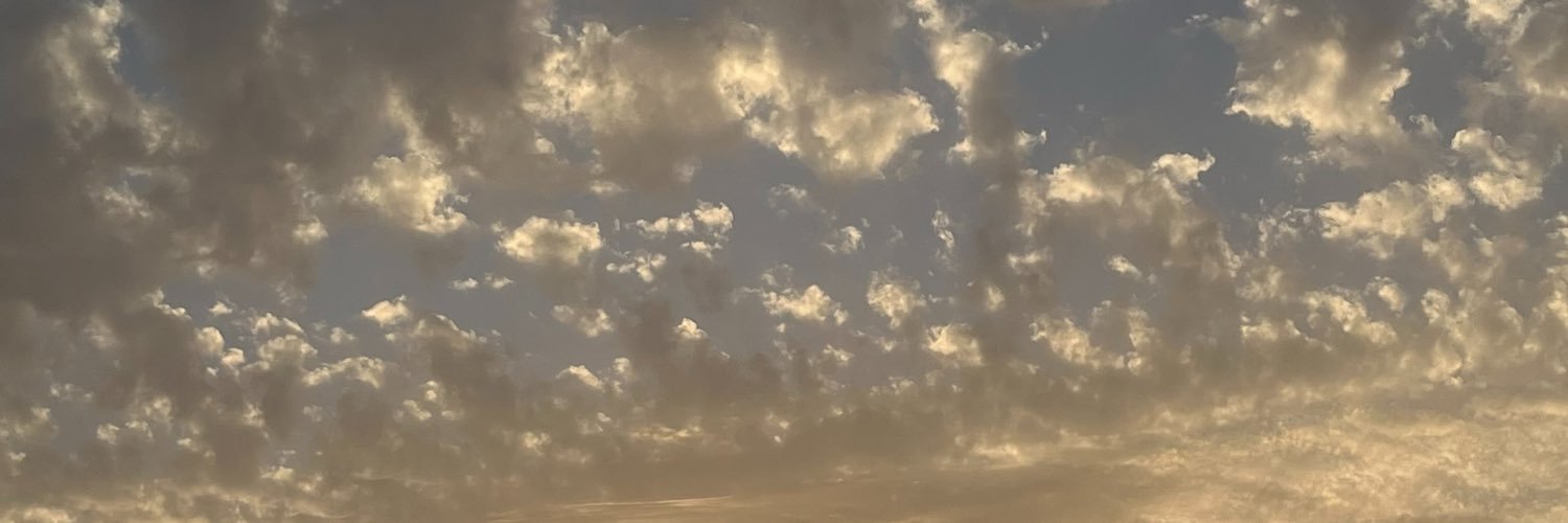 ✎ᝰ.'s banner