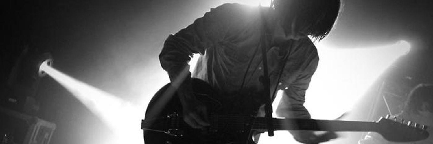 anton newcombe's banner